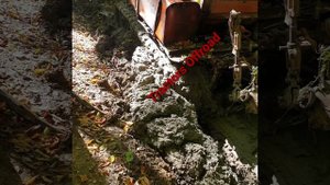 И такое бывает! дт 75 засадили в болоте