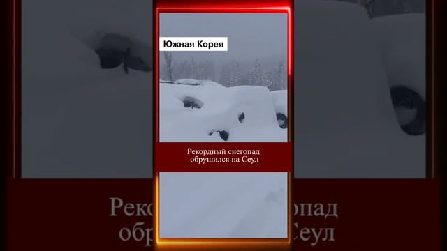 КЛИМАТИЧЕСКИЕ СОБЫТИЯ 01.01.2024г