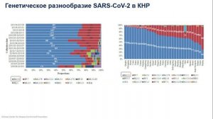 Эпидемиологическая ситуация по гриппу и ОРВИ в России и мире.Проведение профилактических мероприятий