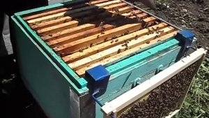 при полном гнезде ставим второй корпус а не магазин.