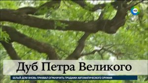 Усадьба Коломенское путешествие в детство Петра Великого