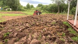 Подготовка нашего участка к посеву газона?