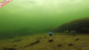 Прикормка…КИСЛОРОДОМ в глухозимье! Рыбам ПОДЫШАТЬ или ПОЕСТЬ?