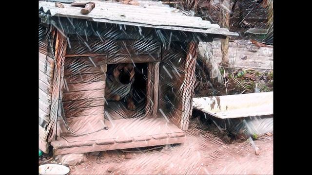 Обитатели собачьей будки, или история о царстве шерсти и блох смотреть онлайн