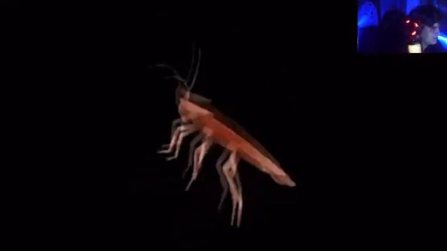 Балдежеый сипим с вебОчкой смотреть онлайн