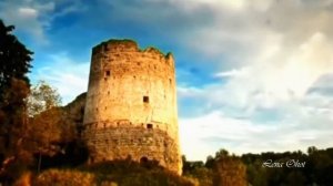 Белые березки ✿ Вилли Токарев