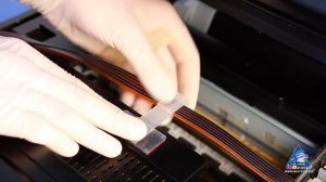 Как установить СНПЧ на Epson Stylus PX660?