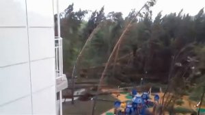 Дальнейшая судьба СНТ  Березки