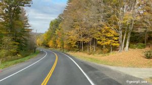 Ужас жизни в США! ВСЯ ПРАВДА об американцах!