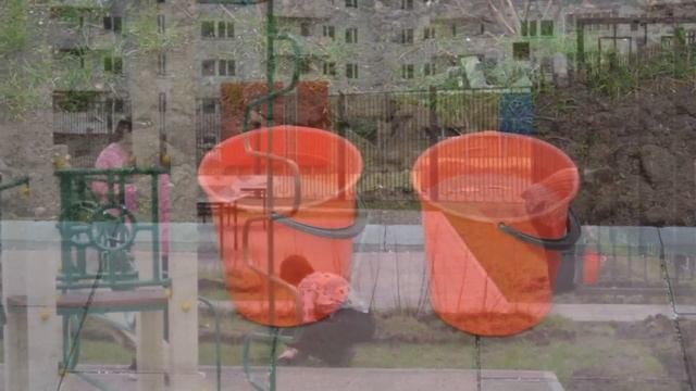 Озеленение территории школы 2053