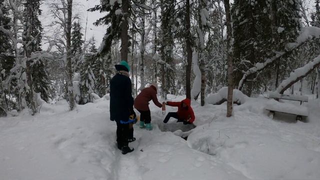 Куртяево. Прогулка после новогодних праздников