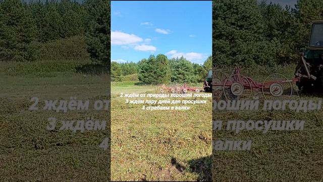 заготовка сено люцерны