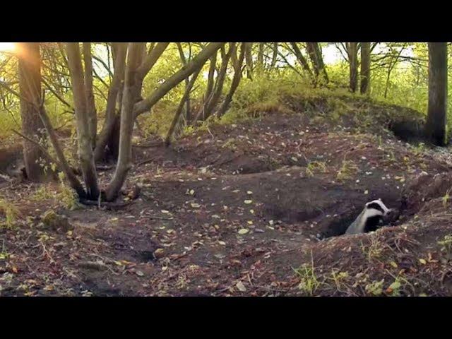 Вопрос знатокам: Они там есть? Или собрали чемоданы... смотреть онлайн