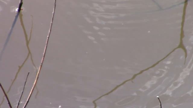 Ляги кайфуют смотреть онлайн