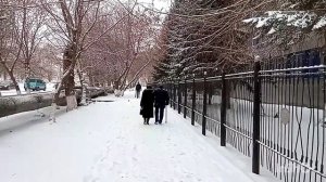 Я спросил у ясеня. Микаэл Леонович #Таривердиев.исп.В.Овчинников.#кокшетау