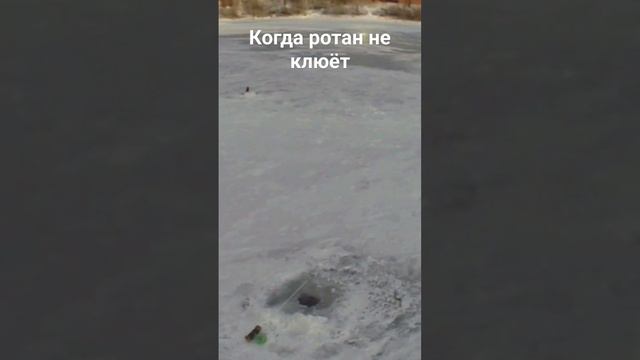 Когда ротан не клюёт. Да, да и такое бывает!