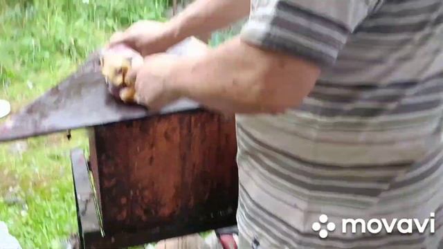 Разделка цесарки. Быстро и легко.