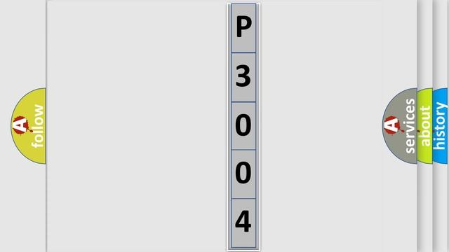 DTC Nissan P3004-133 Short Explanation смотреть онлайн