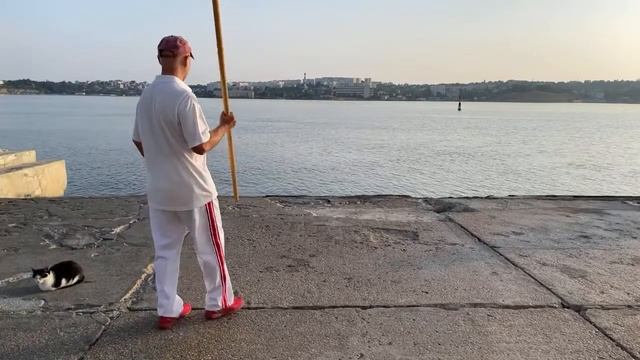 Ицюань / Yiquan (208 день). Ченбао Чжуан / Хуньюань Чжуан / Фуху Чжуан / Гуньфа - работа с шестом