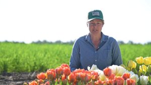 'Exotic Emperor' Tulip from Johnny's Selected Seeds