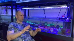 «Рифовый Аквариум» Грунт. Часть 13