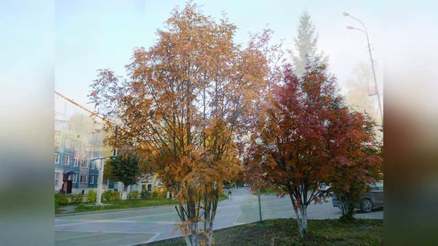 вижу чудное приволье смотреть онлайн