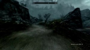 Воин Скайрима (TES V:Skyrim)# 77.Два топорика.