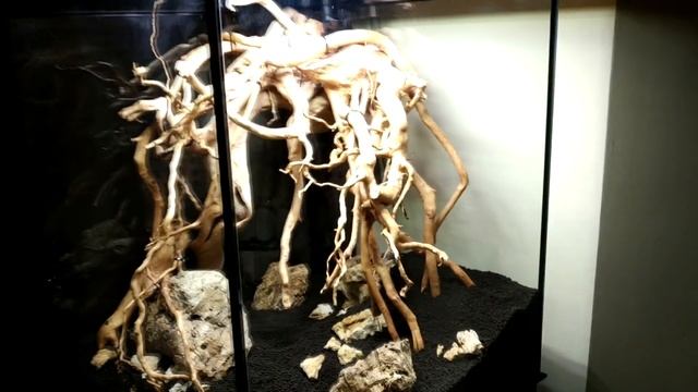 Оформление и запуск аквариума Aquael смотреть онлайн