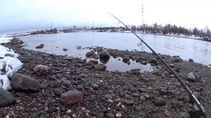 Открываем сезон спиннинга