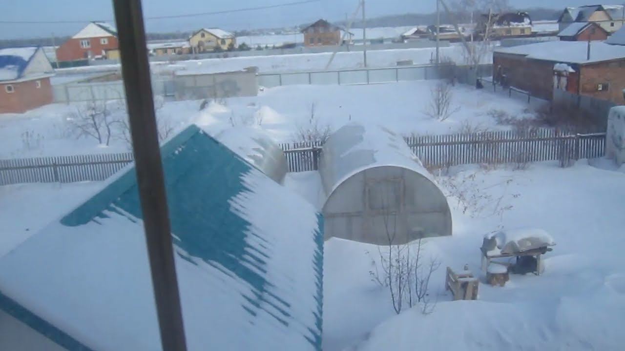 СИБИРСКИЕ КУРОПАТКИ ходят во дворе, зима подходит к концу. смотреть онлайн