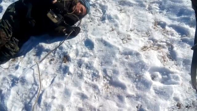 Тип спит лошади в угаре смотреть онлайн