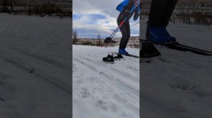 Лыжи Новороссийское