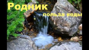 Родники, какая польза родниковой воды
