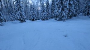 Горнолыжная трасса Таёжная  Губаха 2023