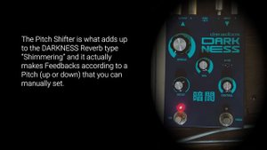 Dreadbox DARKNESS / Digital Stereo Reverb (on electric guitar)