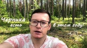 ВЛОГ Зеленогорск Черника есть в этом году УРА 26 июля 2022 Набрали целый контейнер, даже не думал!