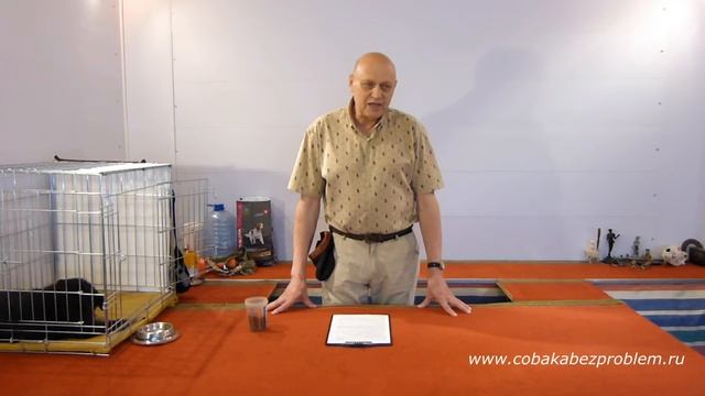 Как научить собаку. Отрицательное подкрепление смотреть онлайн