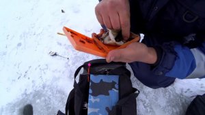 Зимняя рыбалка на ерша!