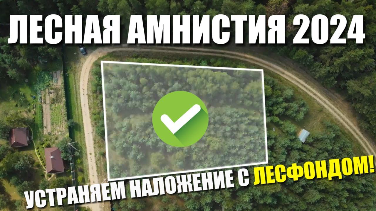 КТО МОЖЕТ ИСПОЛЬЗОВАТЬ ЛЕСНУЮ АМНИСТИЮ В 2024 ГОДУ. РАЗБИРАЕМ ТОНКОСТИ смотреть онлайн