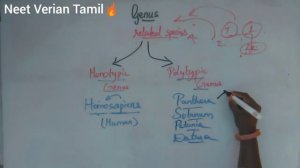 The living world/ Genus/ Detailed explanation/ Part 16/ Neet Verian Tamil🔥