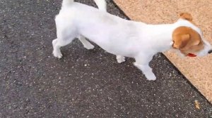 20 ВЛОГ ДЛЯ ТЕХ КТО СМОТРИТ КАНАЛ ГУСАРИХА ✨️