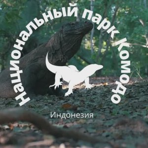 ✅ Национальный парк Комодо|Индонезия