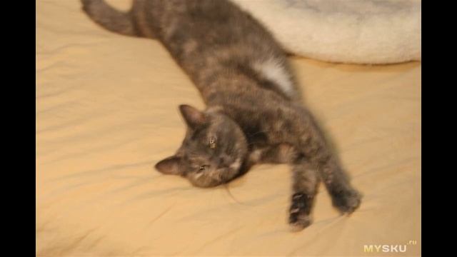 Светодиодная лампа для фотографии LUXCEO Q508A (температура 3000/5750K, RGB. всего 8 цве... | #Обзо смотреть онлайн