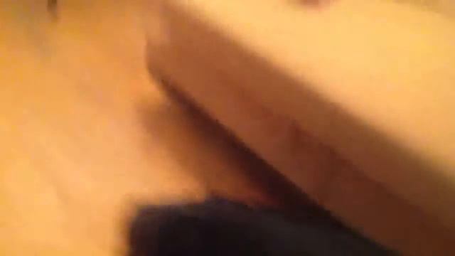 Злой пес лабра доз смотреть онлайн