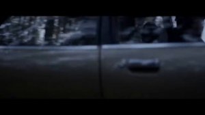 Пьяное солнце ALEKSEEV