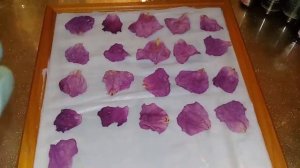 АНФЛЕРАЖ!ПОЛУЧЕНИЕ ЭФИРНОГО МАСЛА! Александр Пичуев