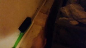 Как правильно запаривать березовый веник в бане?