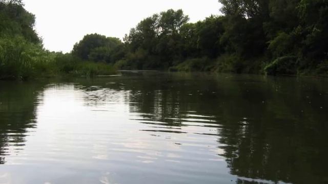 Экскурсия "Река Ток"