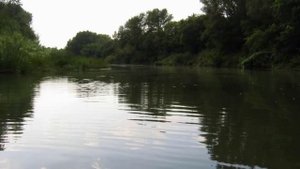 Экскурсия "Река Ток"