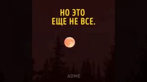 Полное лунное затмение. Кровавоя луна.
